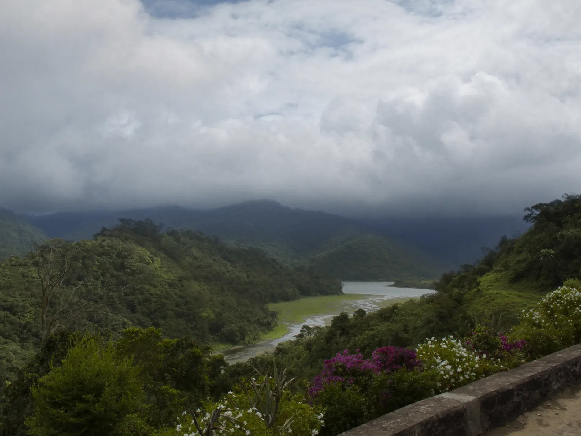 A green highland valley with flowering shrubs and forested hills